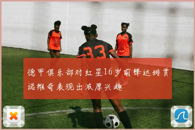 德甲俱乐部对红星16岁前锋达姆贾诺维奇表现出浓厚兴趣