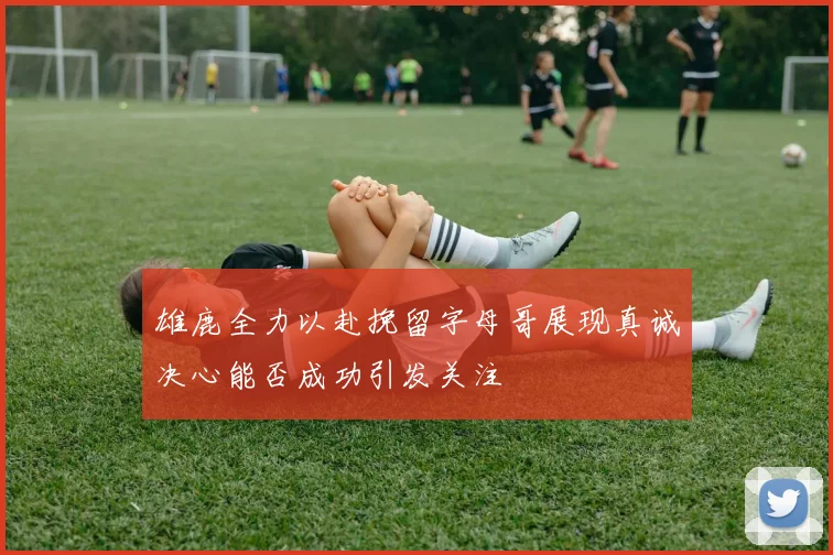 雄鹿全力以赴挽留字母哥展现真诚决心能否成功引发关注