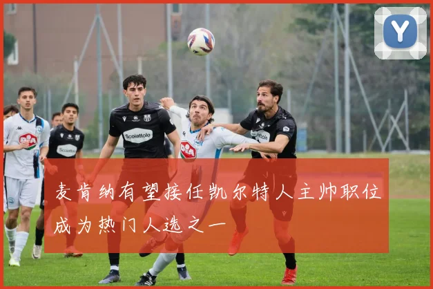 麦肯纳有望接任凯尔特人主帅职位成为热门人选之一